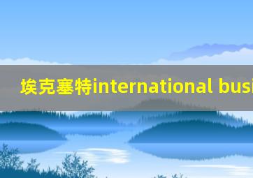 埃克塞特international business